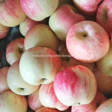 Fresh Red Gala apples